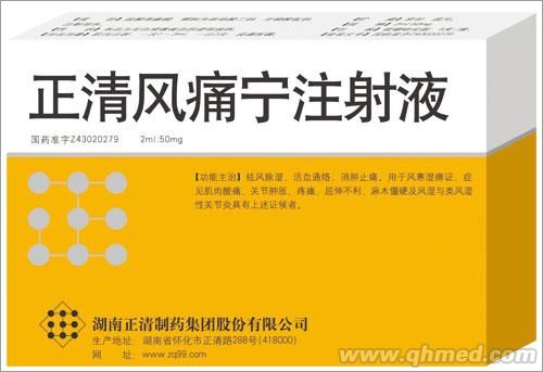 正清風(fēng)痛寧注射液 