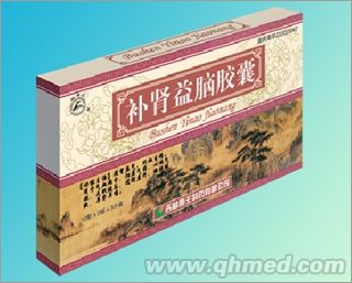 補(bǔ)腎益腦膠囊 