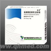 鹽酸氨溴索注射液 